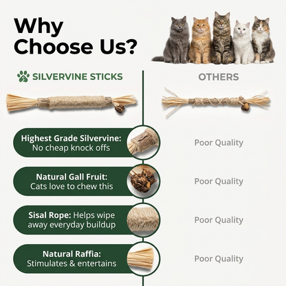 Silvervine Chew Sticks